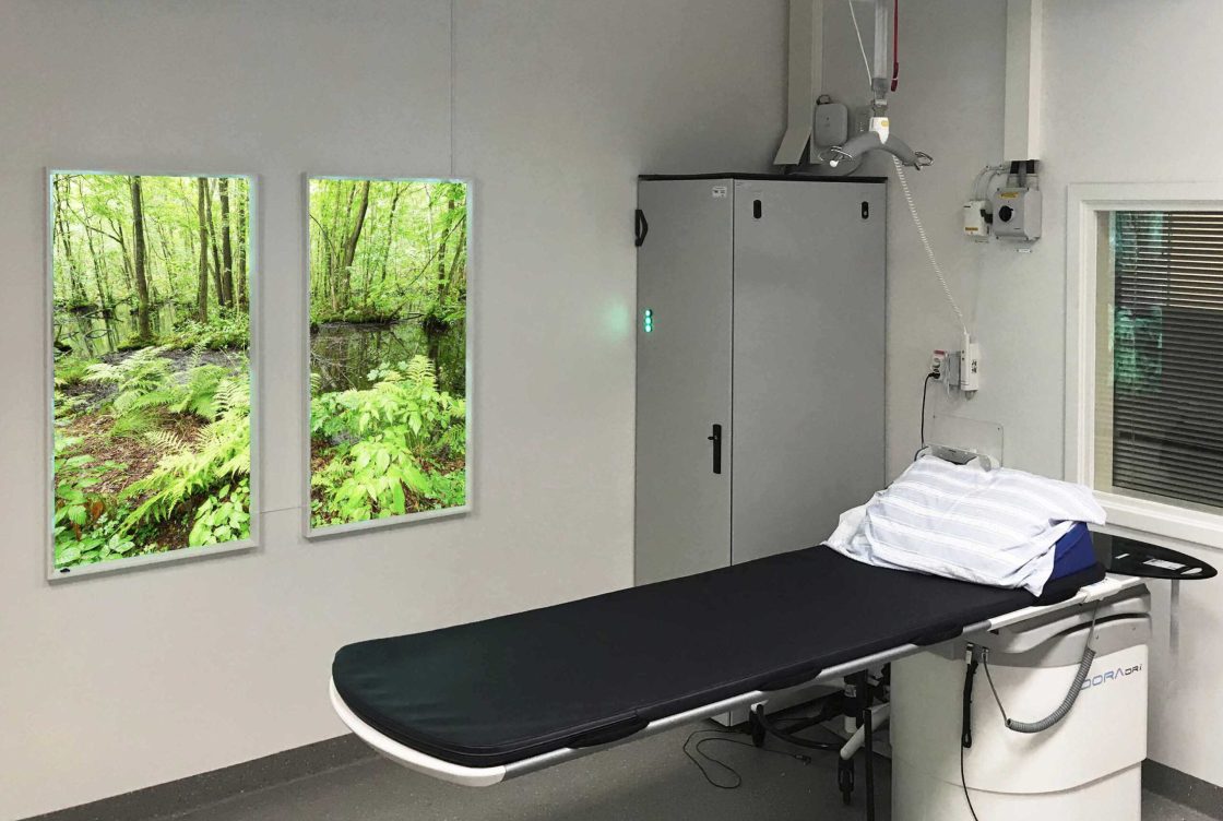 Lumlyx-Ostra-Rongen-kopiera