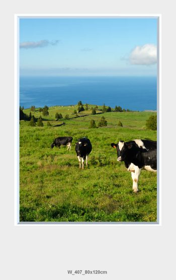 Lumlyx-Wall-LED-W_407